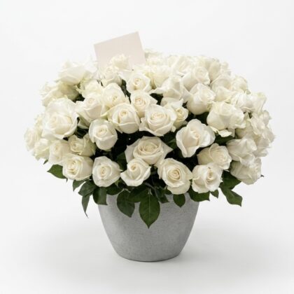 Elegant Lady Blanca - Concrete Vase filled with lush white roses, exuding luxury and sophistication.