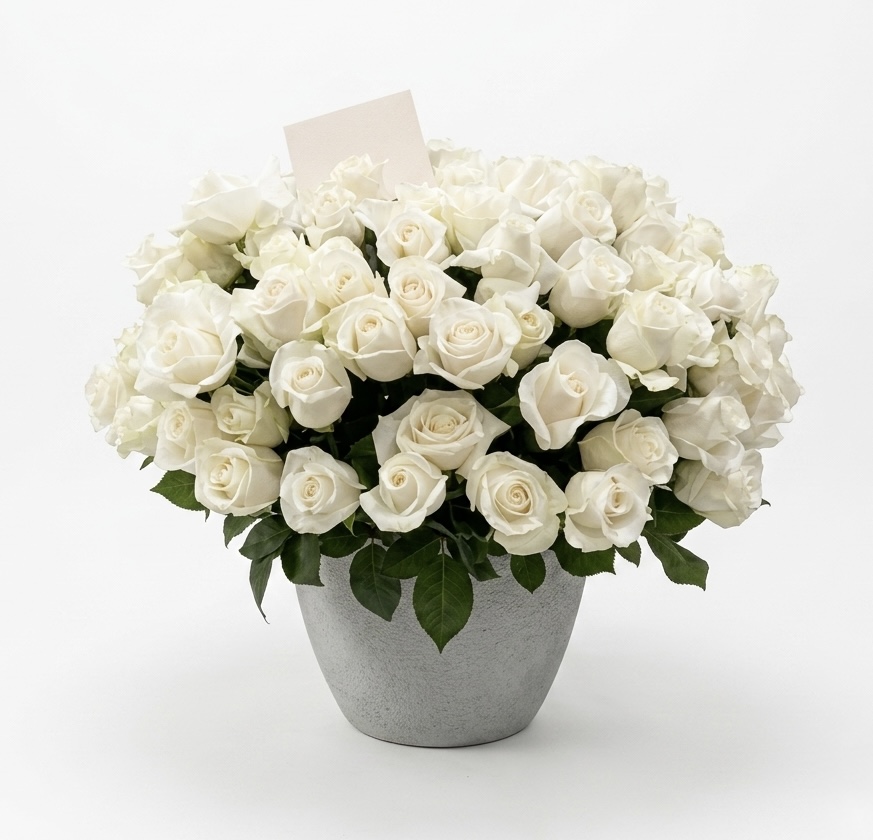 Elegant Lady Blanca - Concrete Vase filled with lush white roses, exuding luxury and sophistication.
