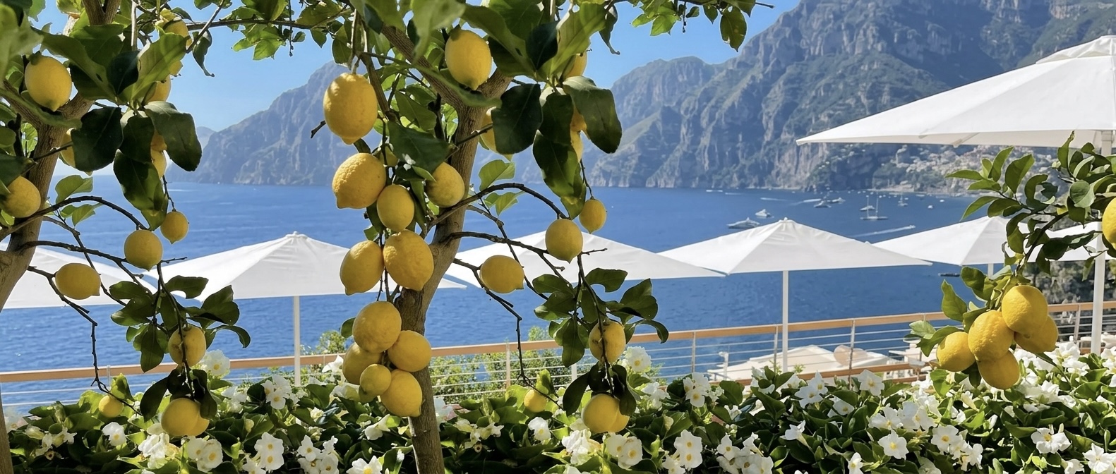 Lush lemon tree branches laden with bright yellow fruit over white flowers, overlooking a sparkling blue Mediterranean sea.