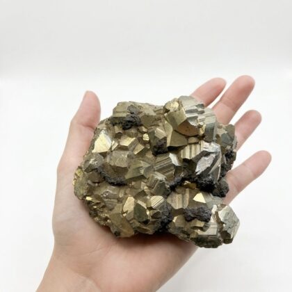 A hand holds a cluster of metallic, golden pyrite crystals with cubic structures against a white background.