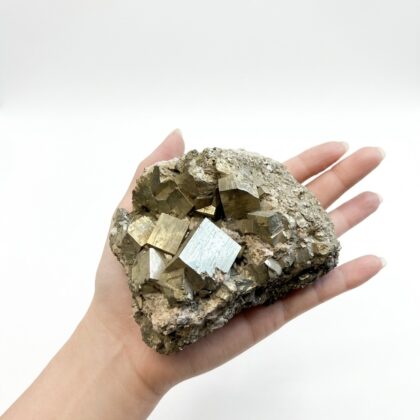A hand holds a cluster of raw, metallic gold pyrite crystals with distinct cubic formations against a white background.