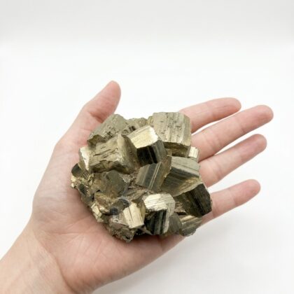 A hand holds a cluster of raw, metallic gold pyrite crystals with distinct cubic formations against a white background.